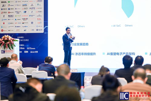 星宸科技闪耀IIC Shenzhen 2025，擘画视觉AI SoC新蓝图与开发生态新篇章