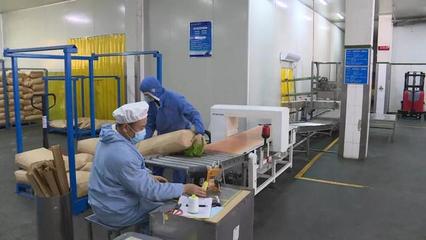 春风行动 为企业复苏注入“一池春水”，技术开发成关键引擎