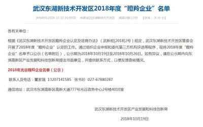 技术驱动创新，智点道荣获武汉“瞪羚企业”称号，领跑人力资源行业