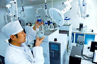 能源之都浴火重生 淮南转型路上的技术革新与城市新生